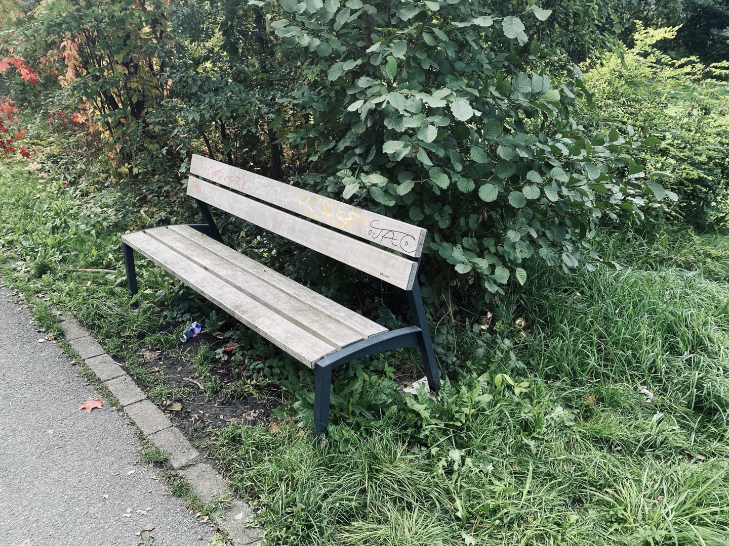 Odpadky od alkoholu u laviček