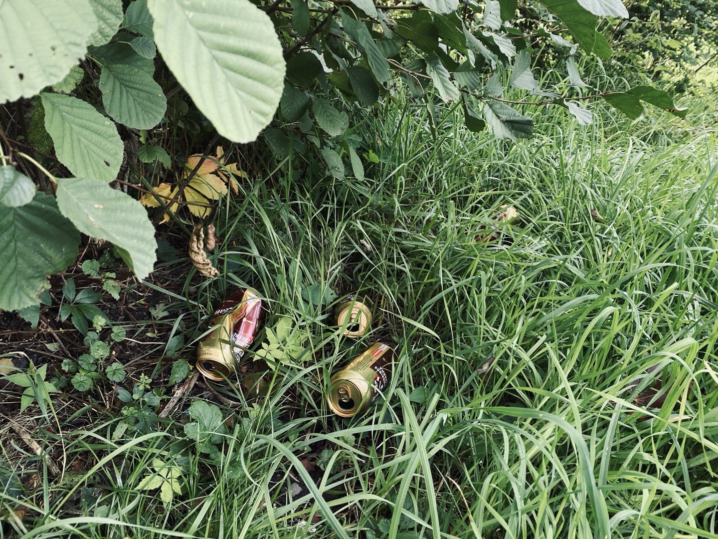 Odpadky od alkoholu u laviček