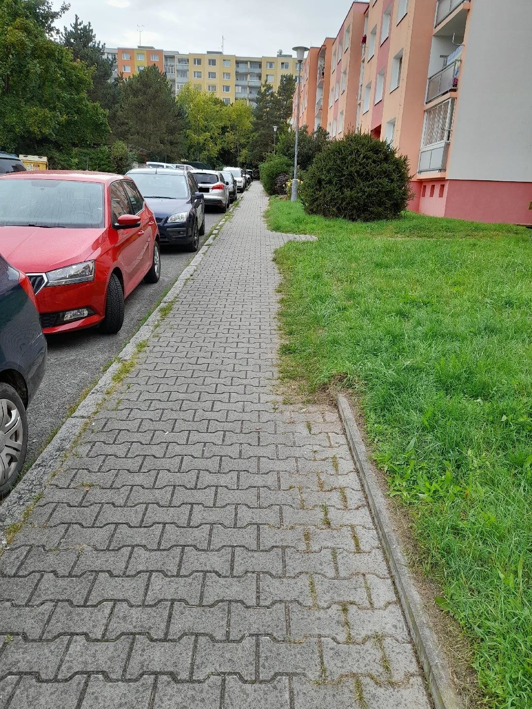 Zarůstající chodnik trávou