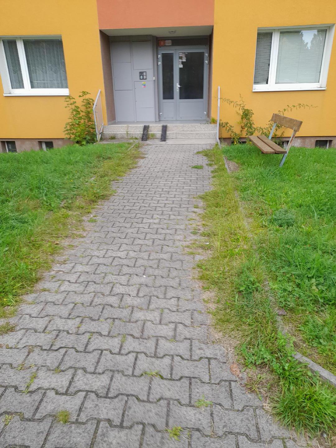 Zarůstající chodnik trávou