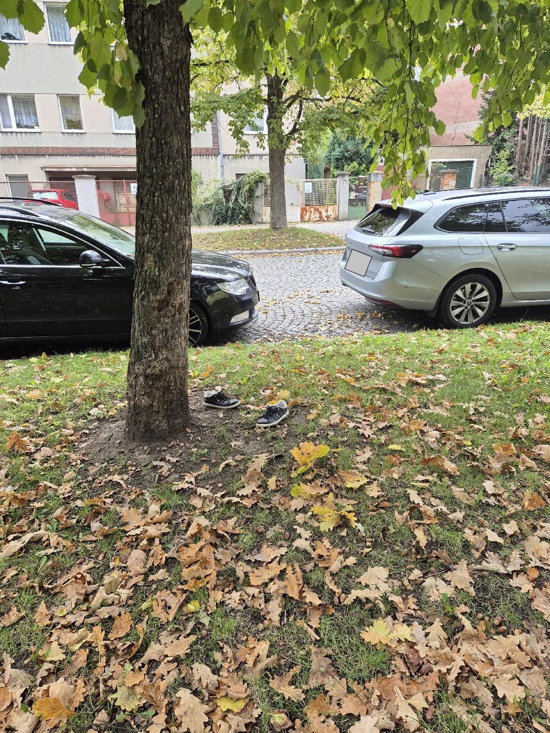 Nepořádek u branky