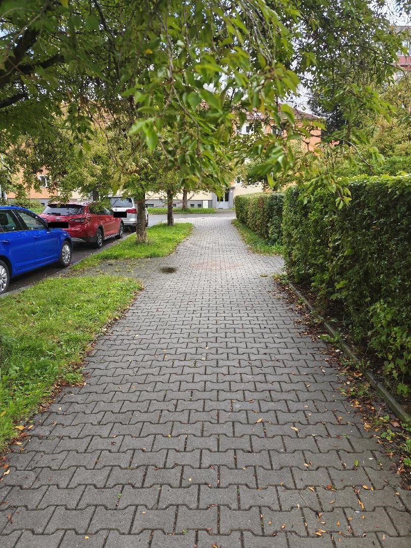 Větve zasahující do chodníku