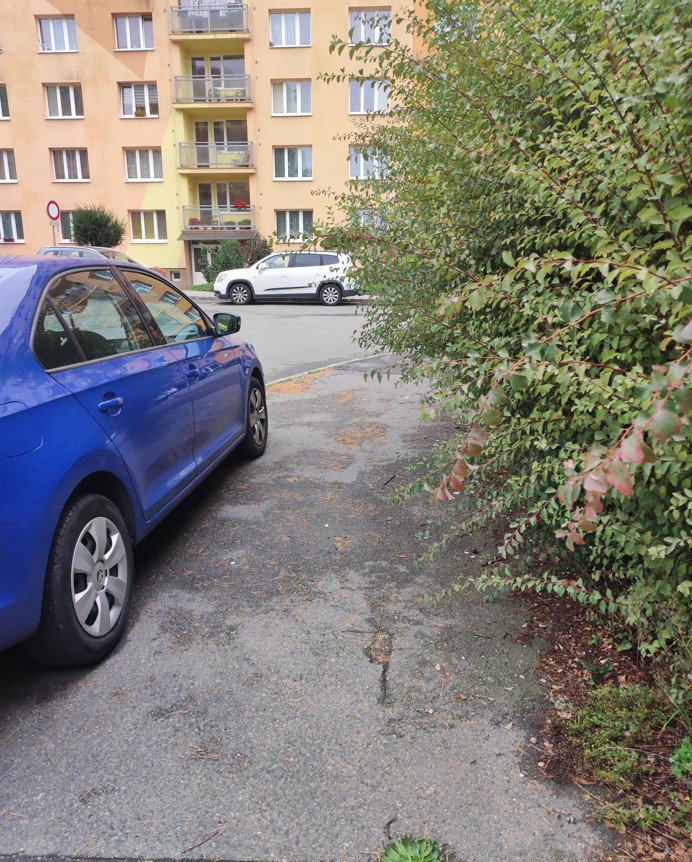 Keře zasahují hluboko do chodníku