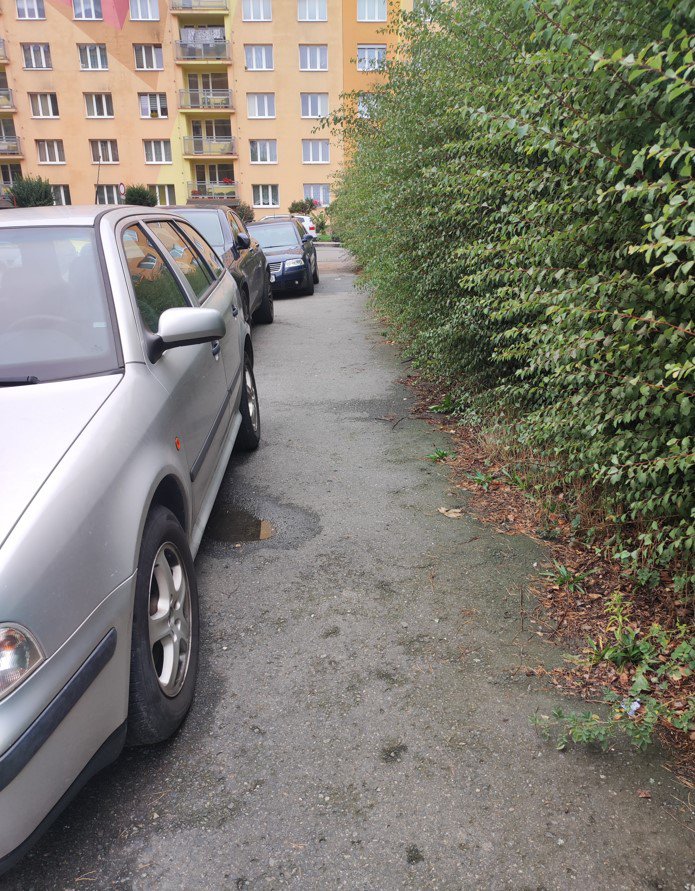 Keře zasahují hluboko do chodníku