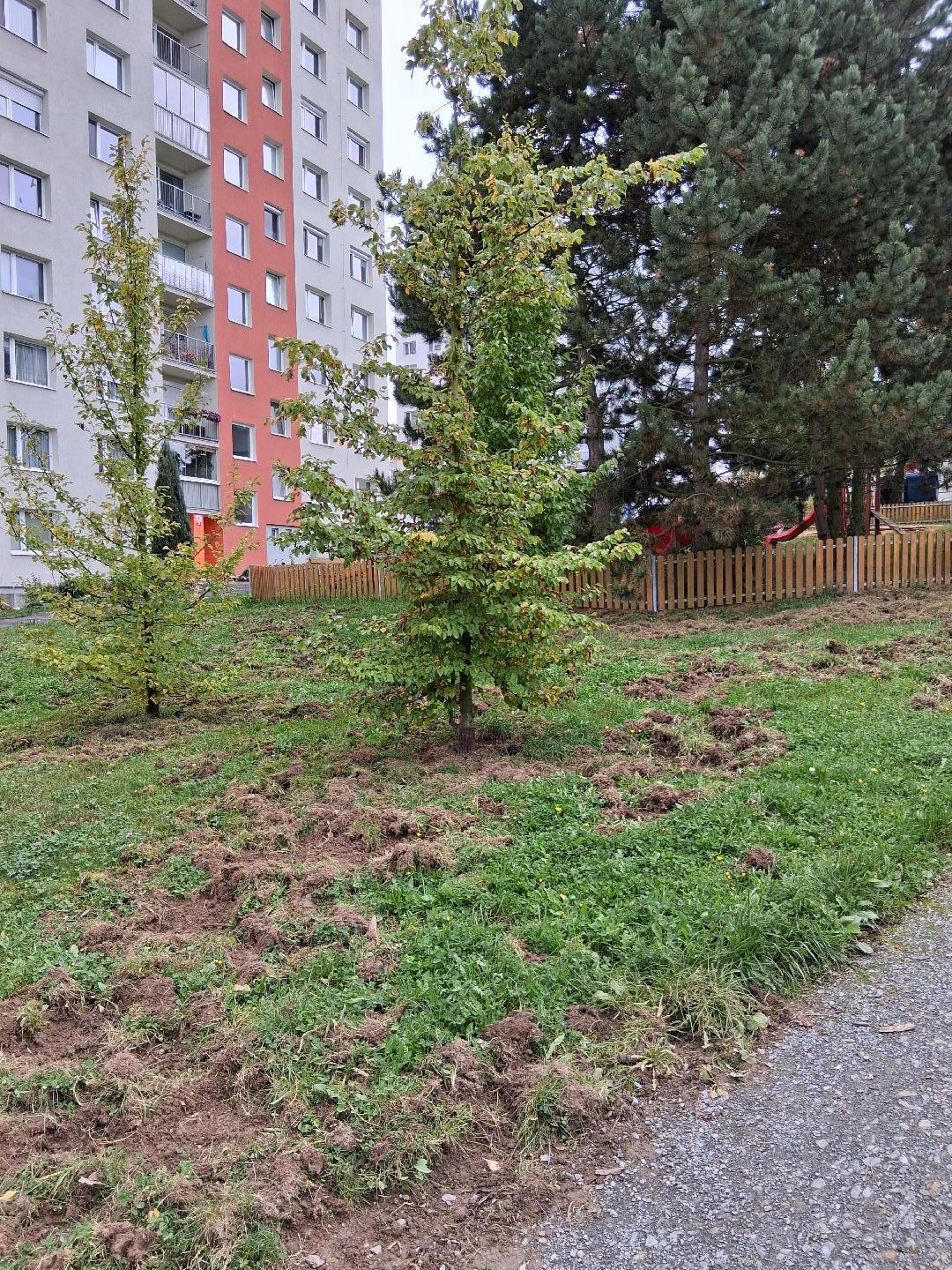 Prasata v sídlišti