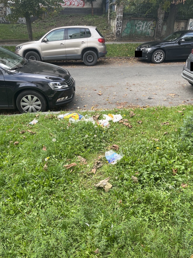 Nepořádek na třávníku
