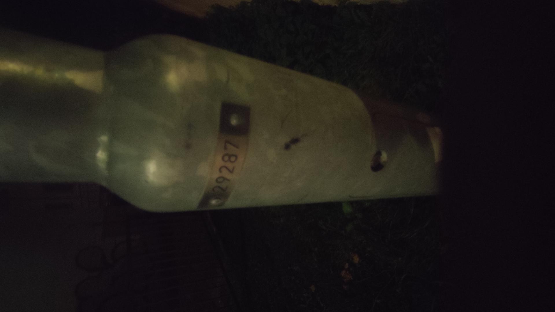 Nefunguje lampa