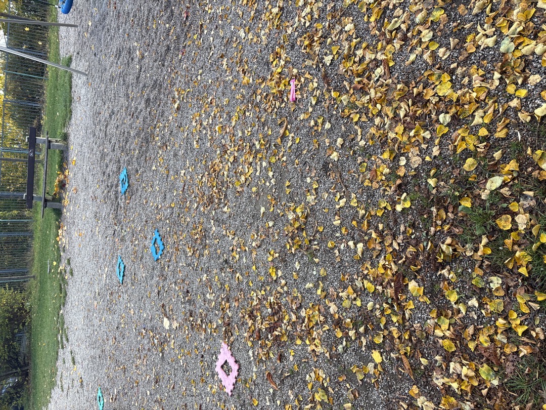 Trvalý nepořádek