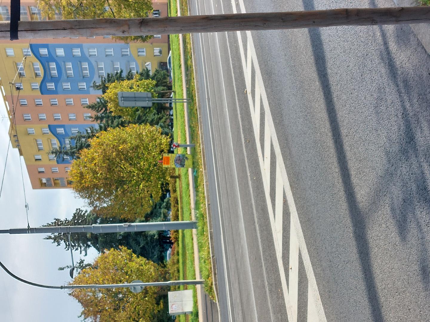 Nelegální reklama