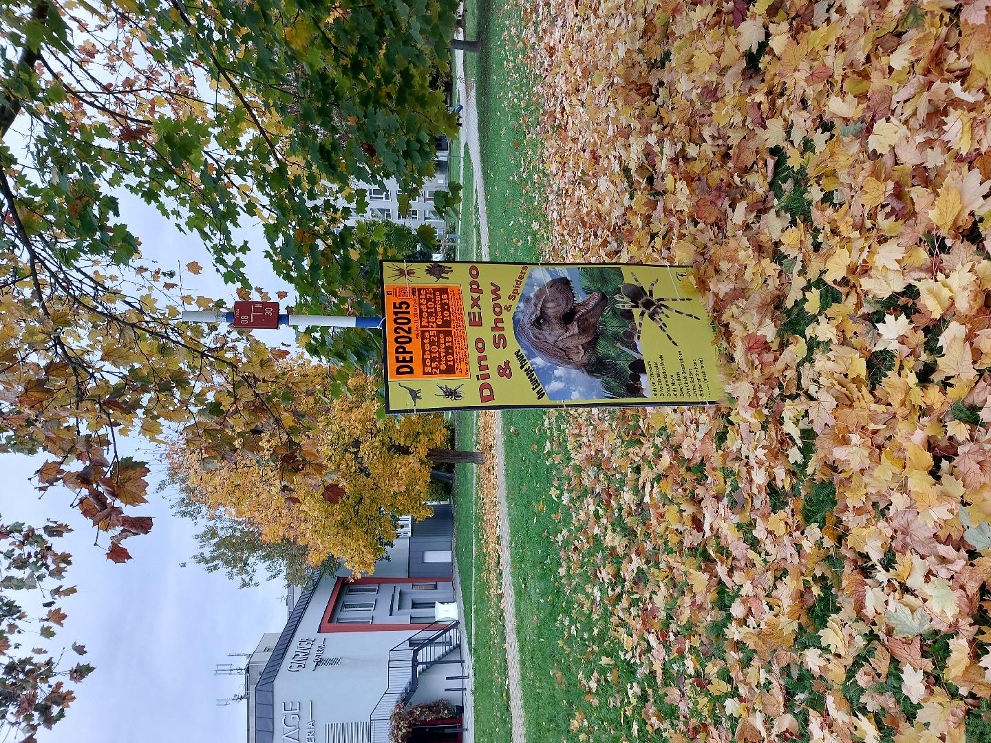 Nelegální reklama