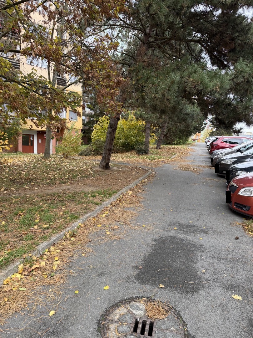 Nános listí na chodníku