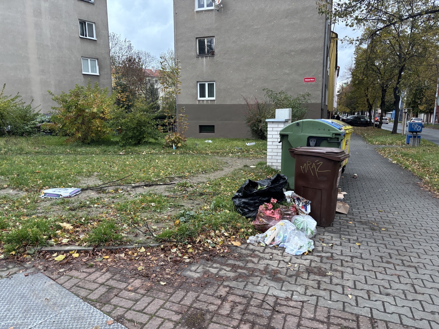 Nepořádek u kontejnerů