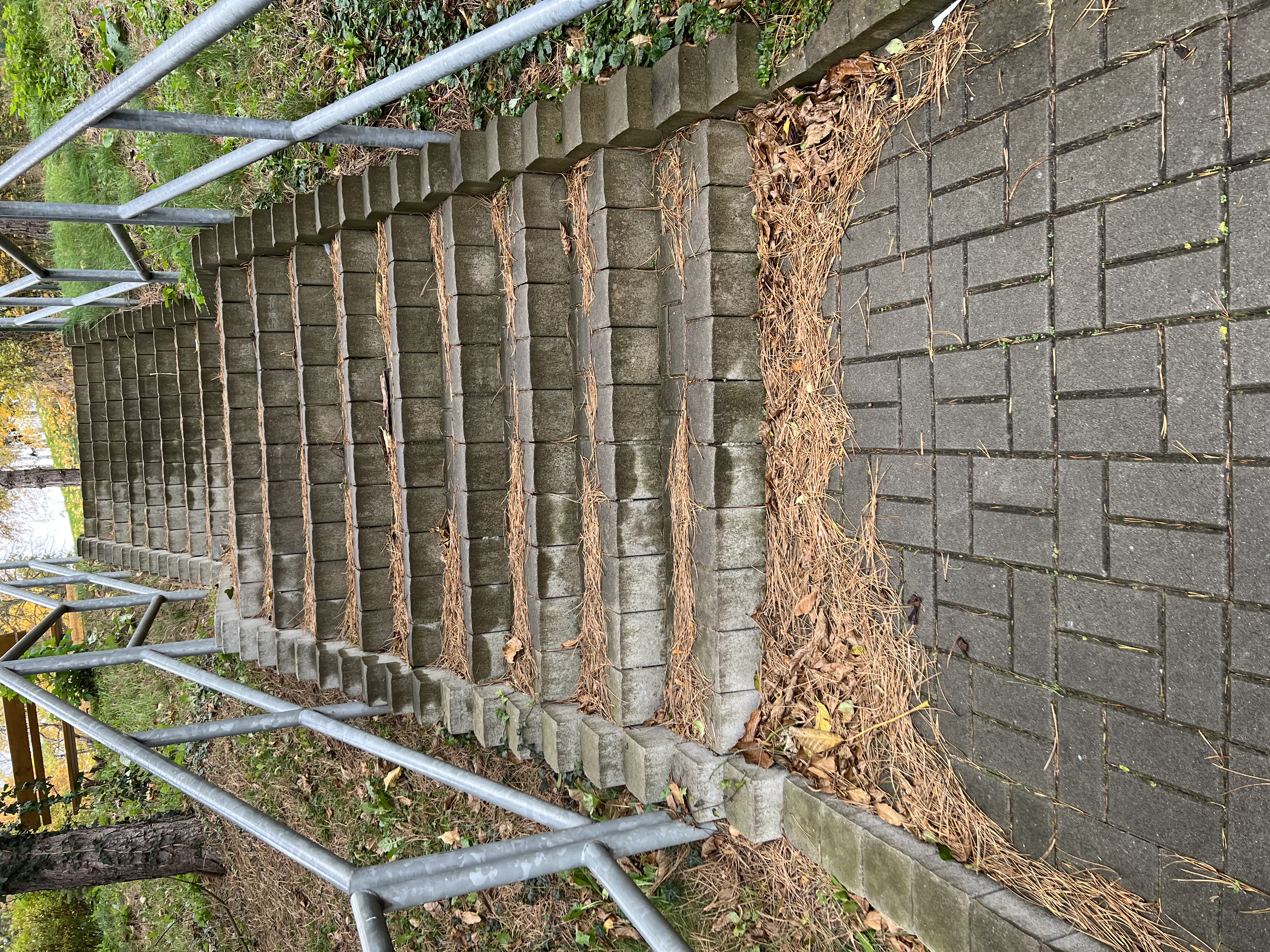 Jehličí na schodech a chodníku