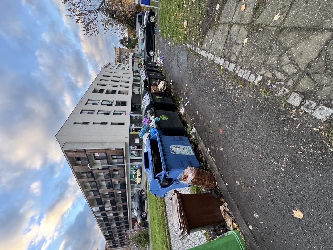 Nepořádek kolem popelnic