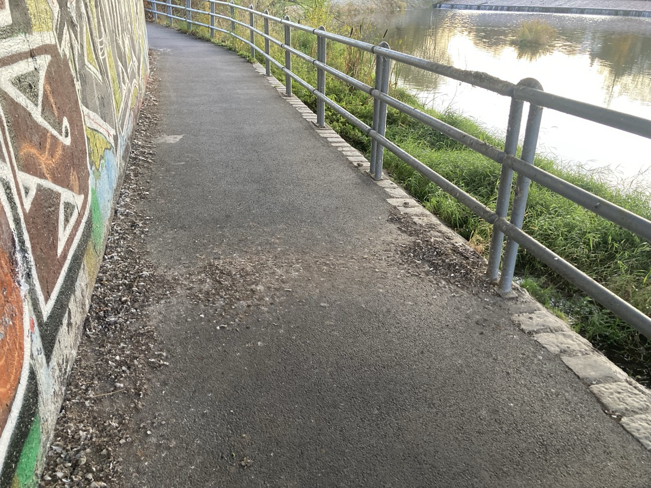 Holubí trus na chodníku