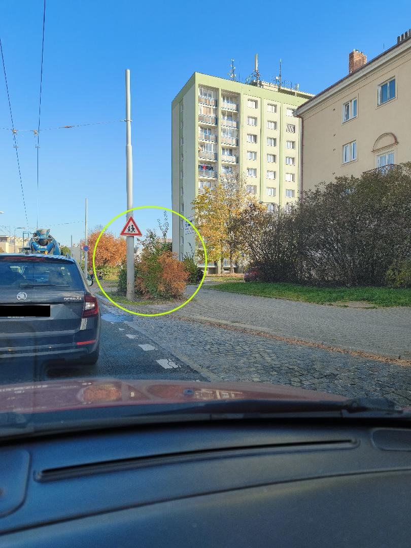 Keř překáží ve výhledu