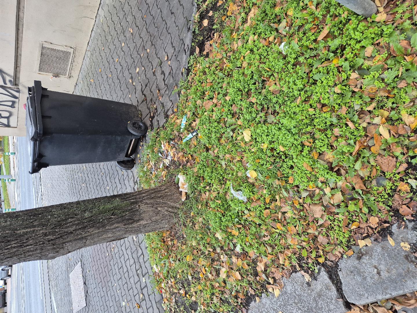 Nepořádek po svozu odpadu