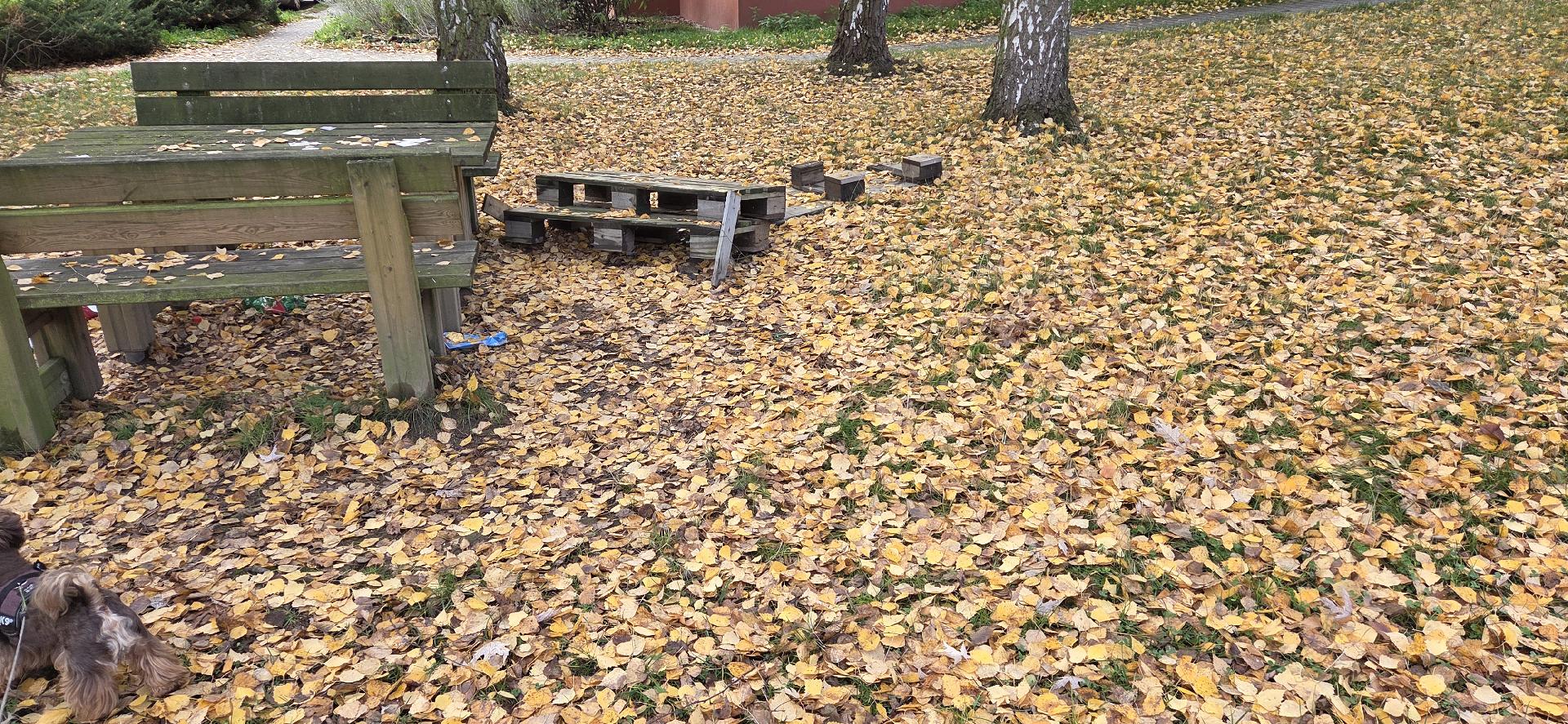 Nepořádek na hřišti