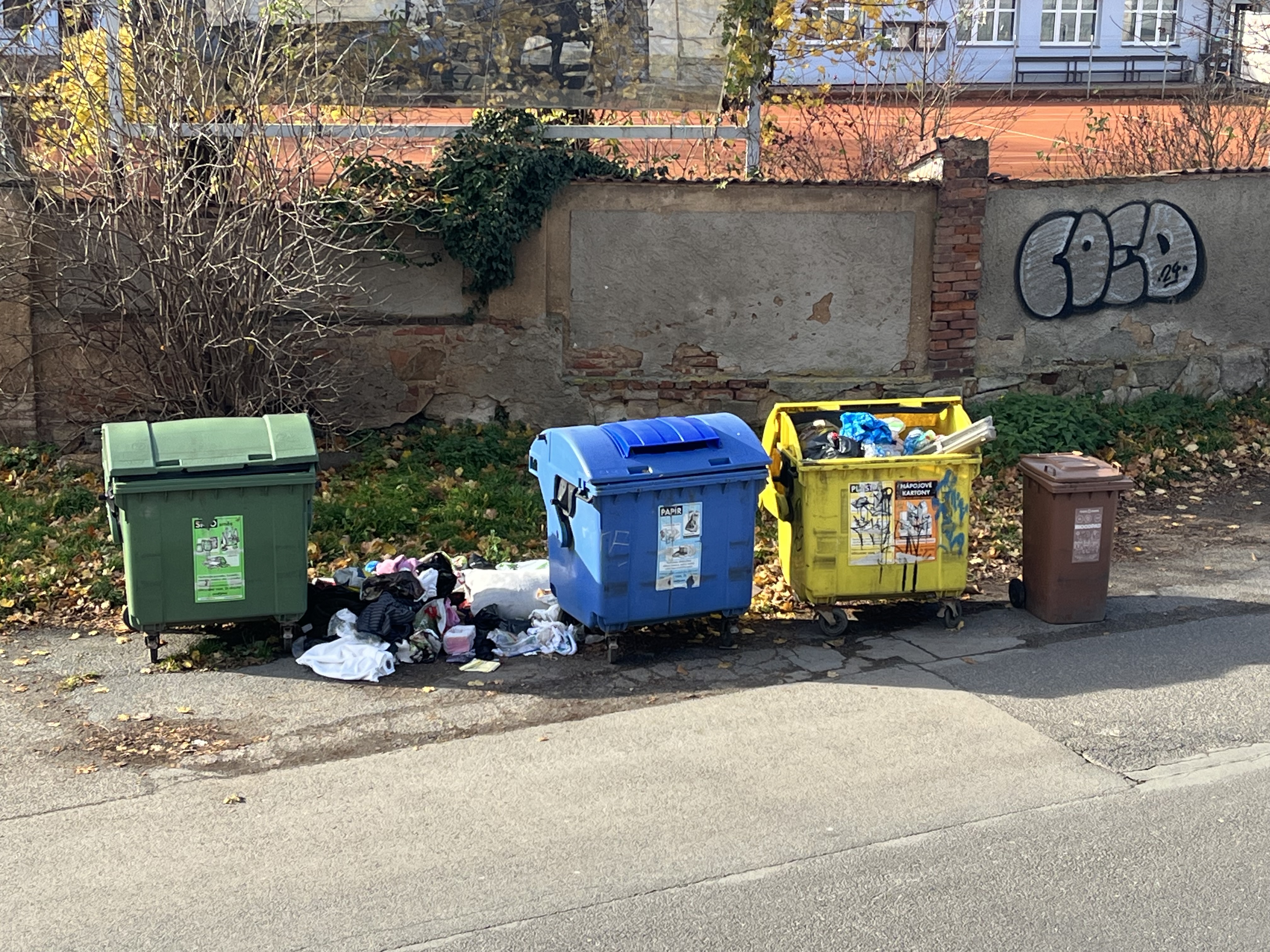 Nepořádek u popelnice
