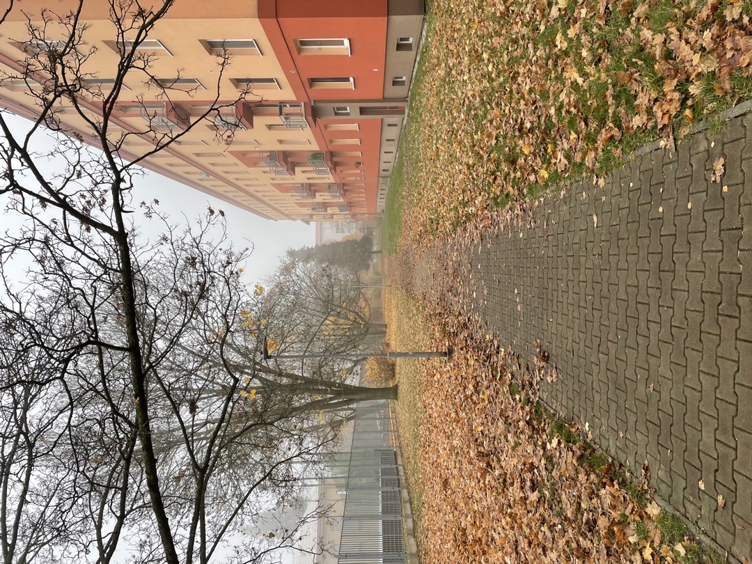 Neuklizené chodníky