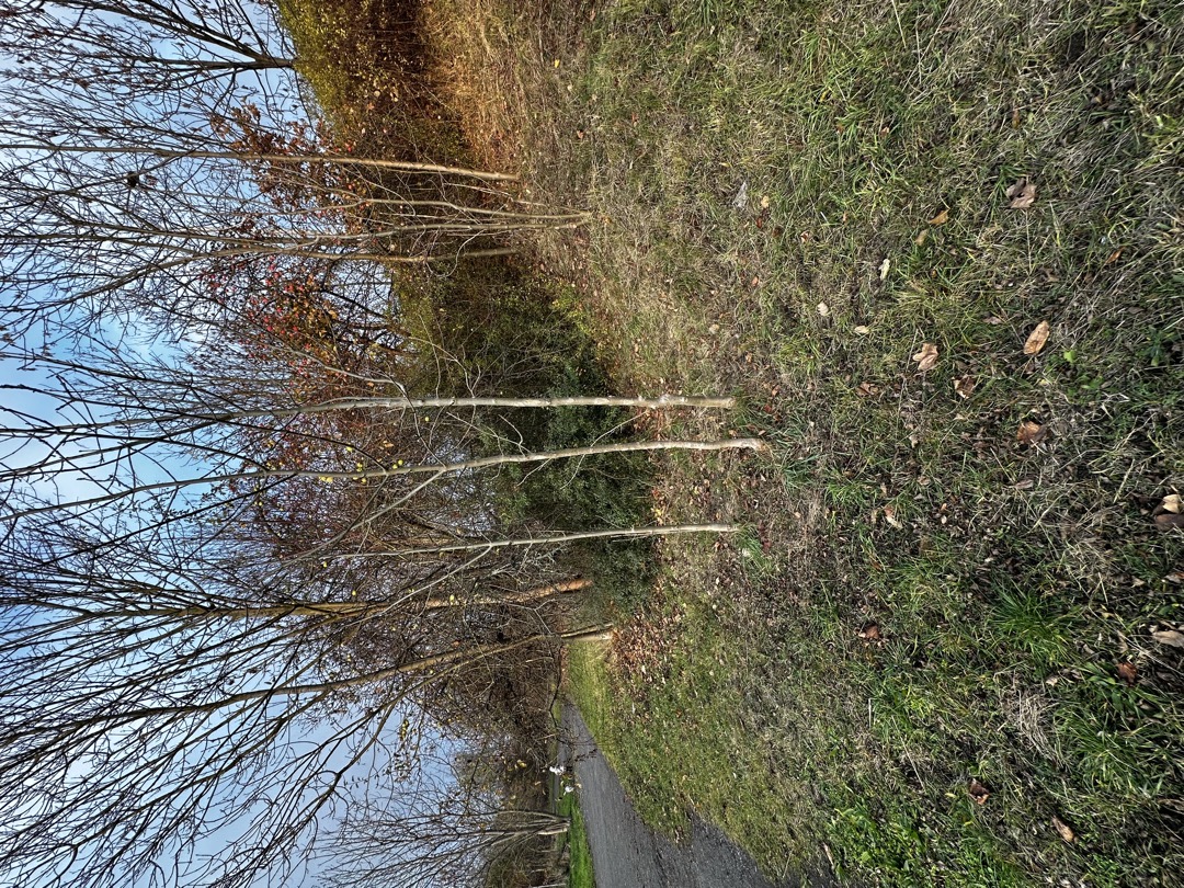 Injekční stříkačka