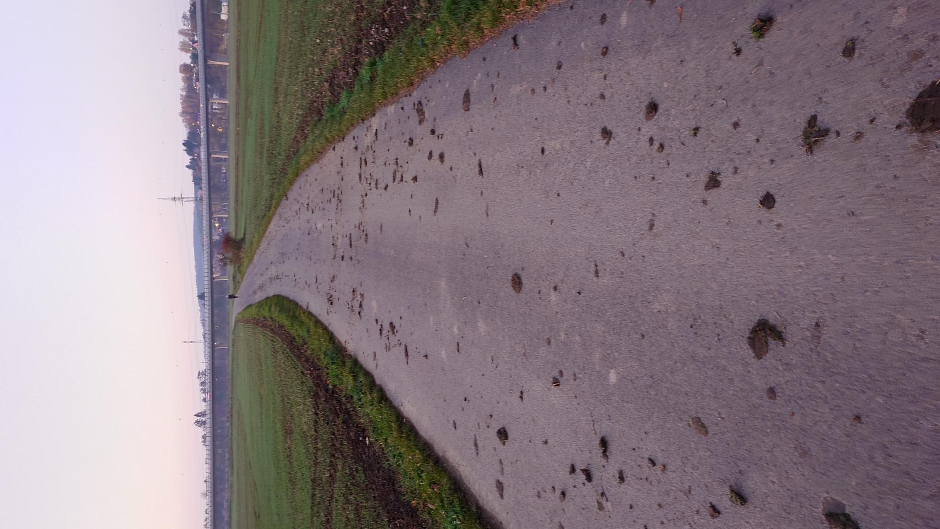 Znečištěná cyklostezka