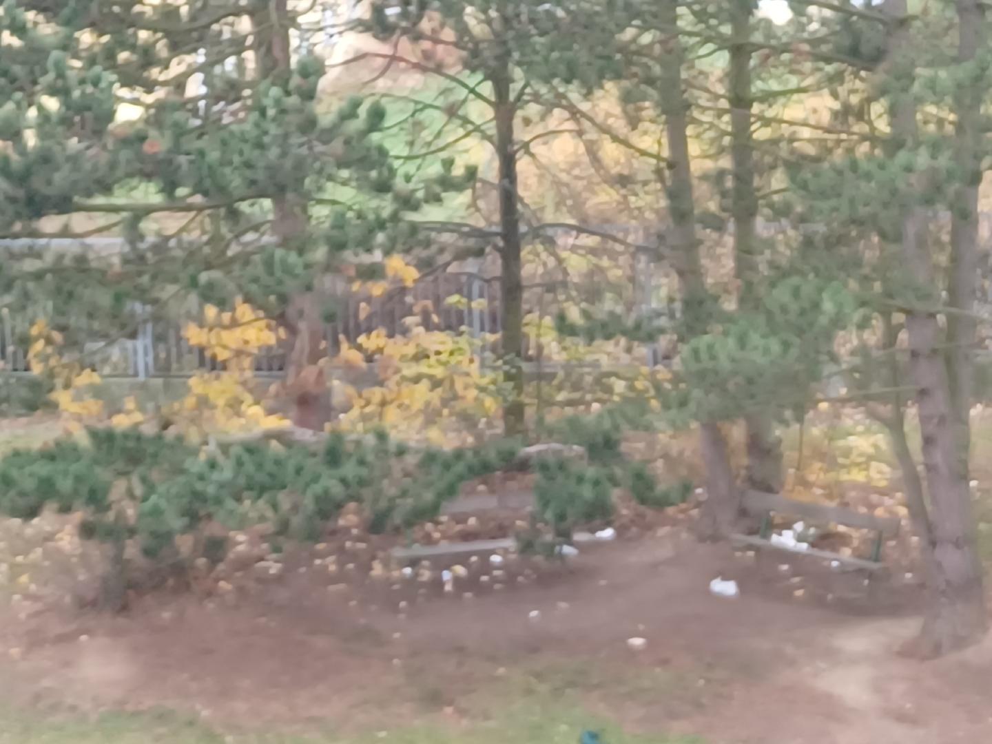 Opakovaný nepořádek