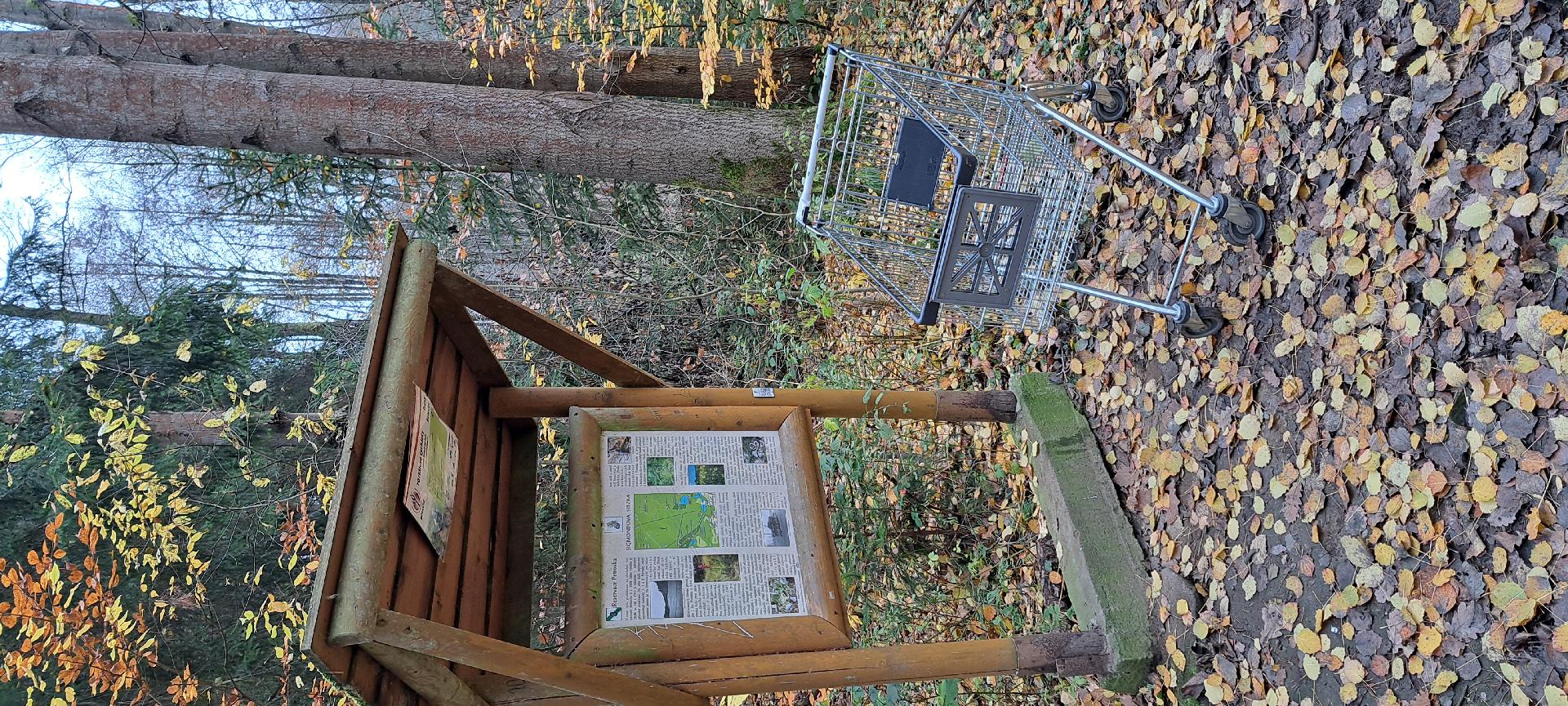 Odklizení košíku v Petrovce