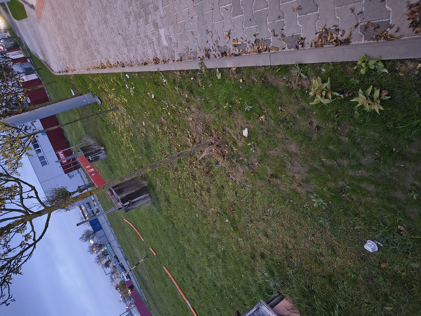 Odpadky - chybějící koš