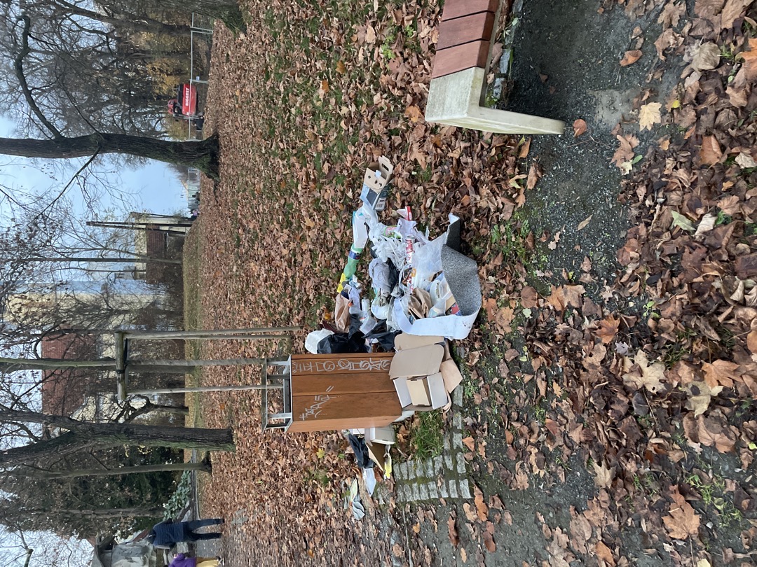 nepořádek ololo koše