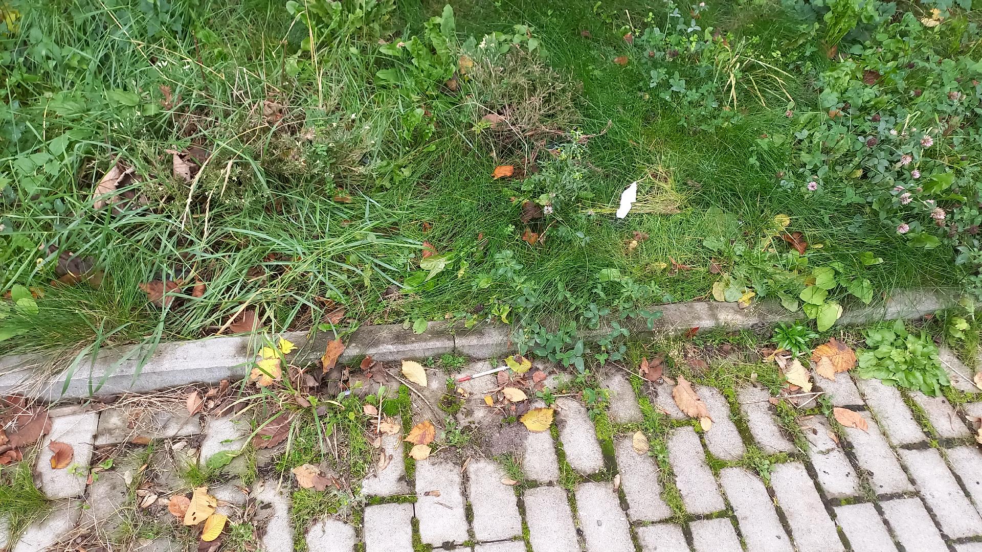 Injekční stříkačka