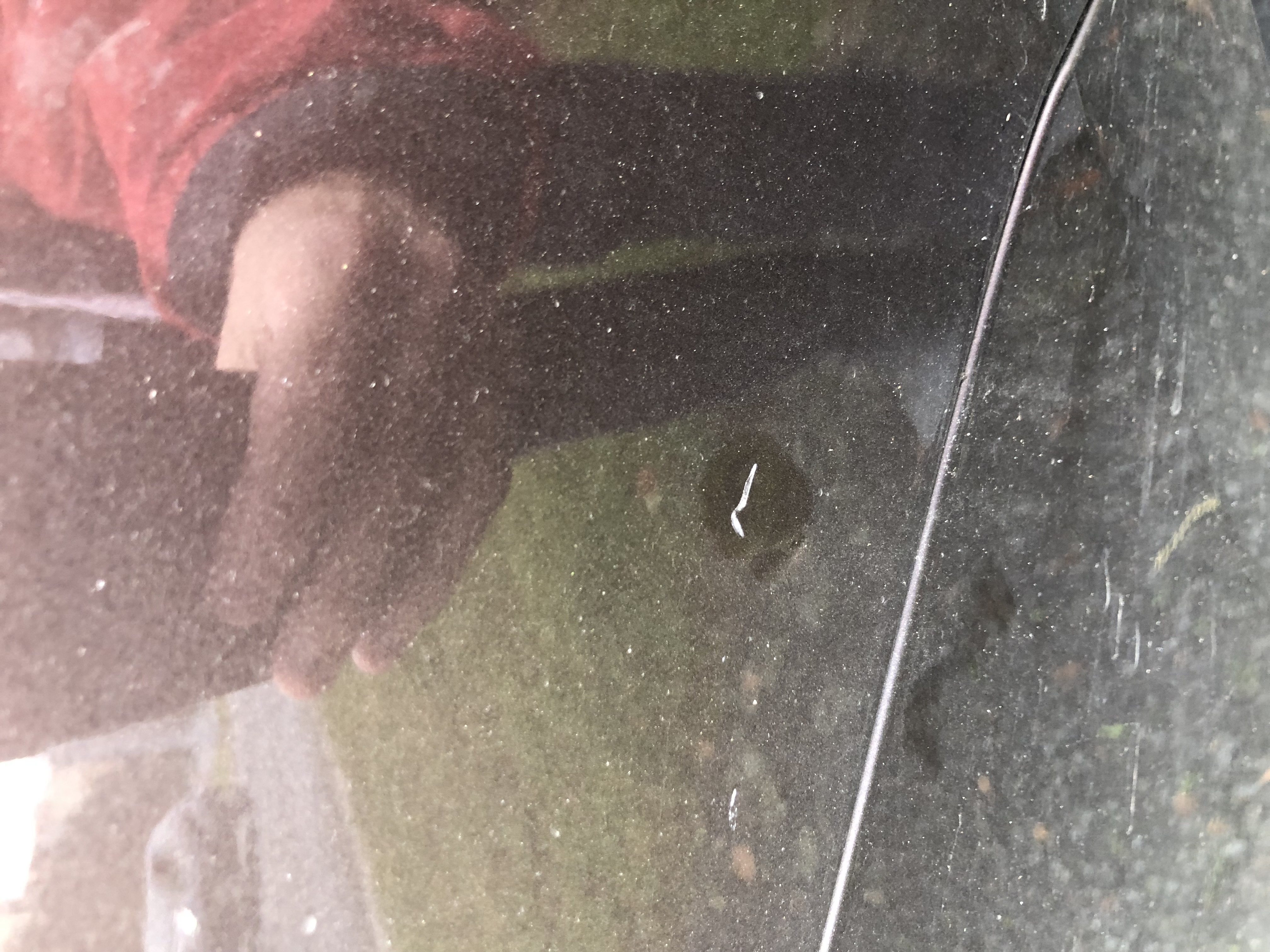 Následky údržby zeleně