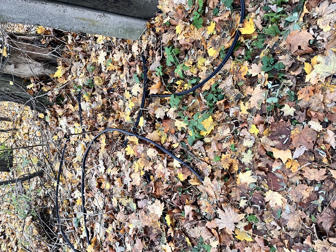 Černá skládka - jehla