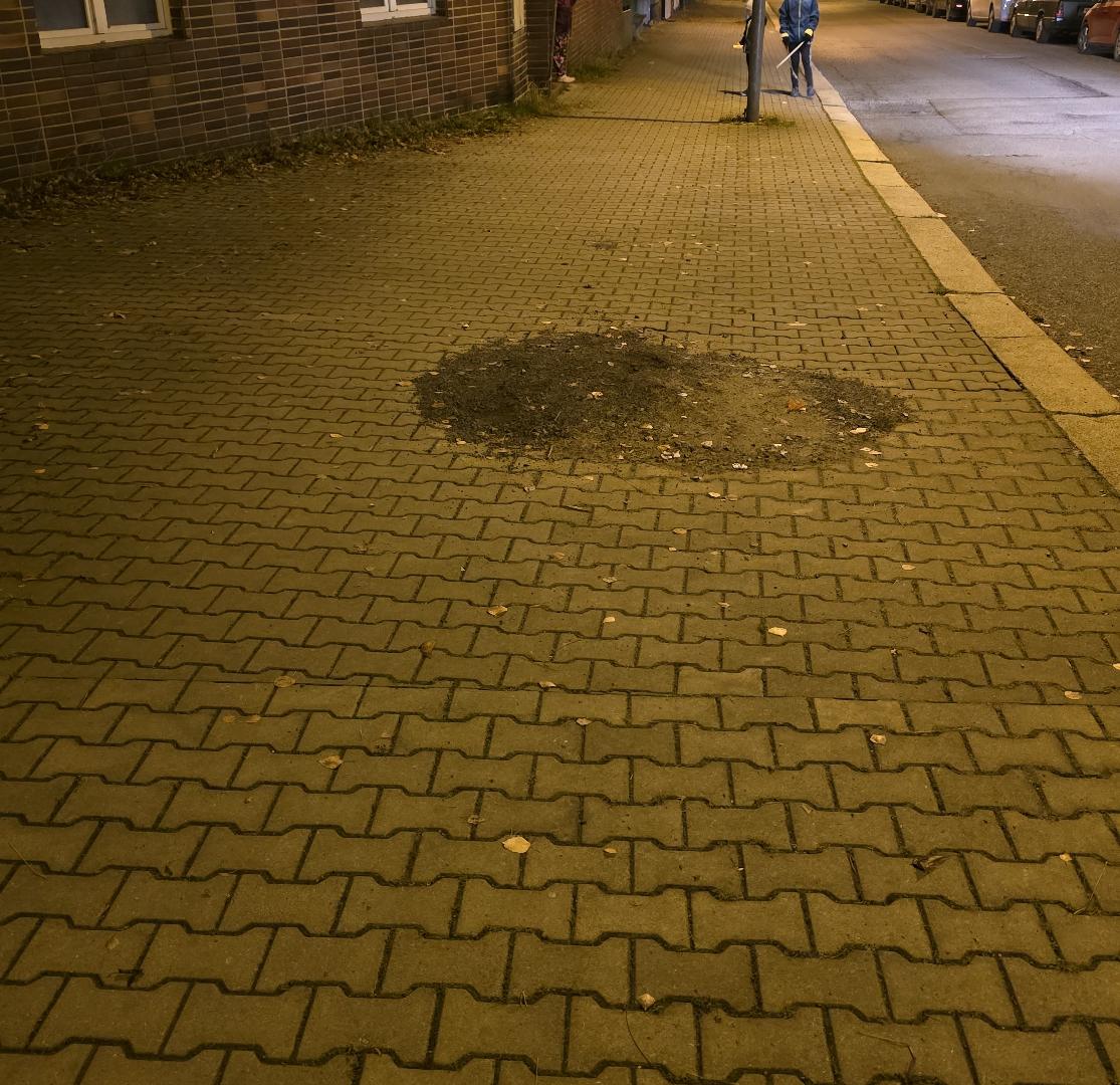 Neuklizená hlína na chodníku
