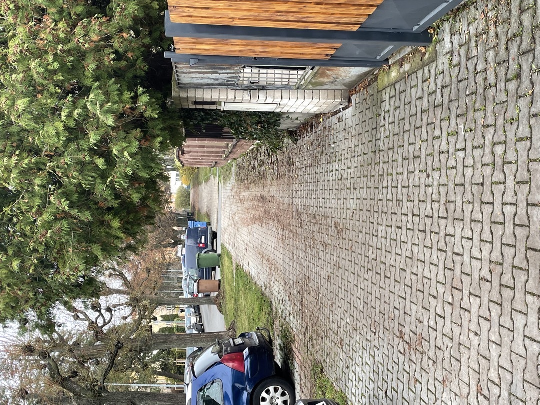 Nepořádek po úklidu ulice