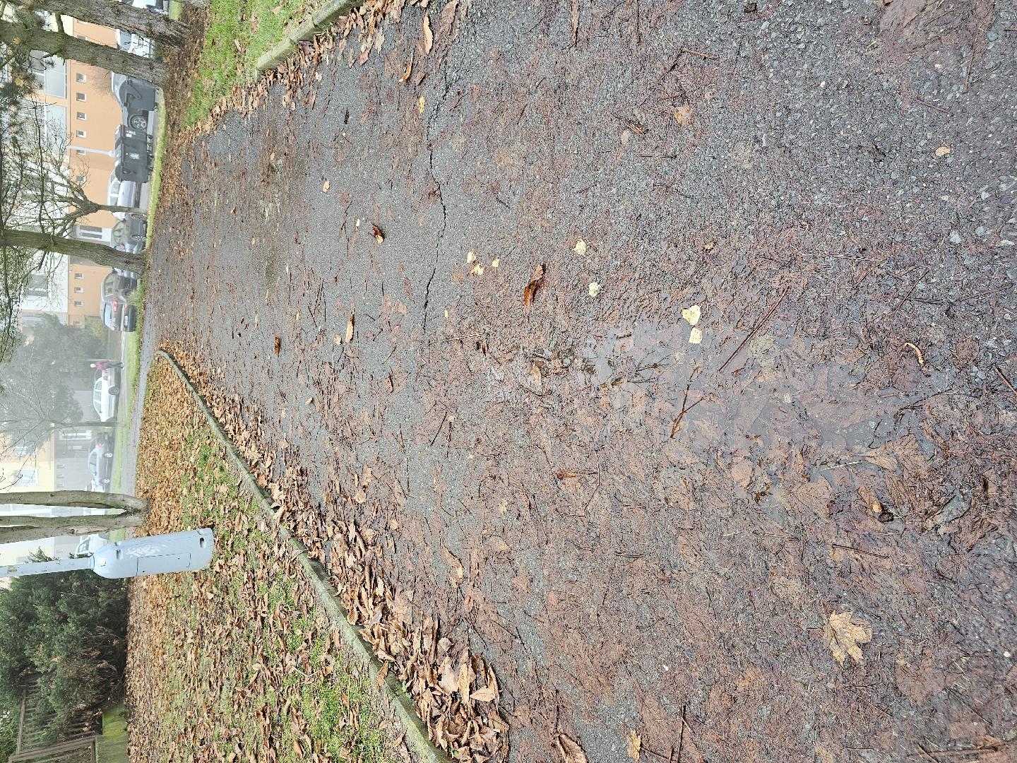 Chodník znečištěný listím 