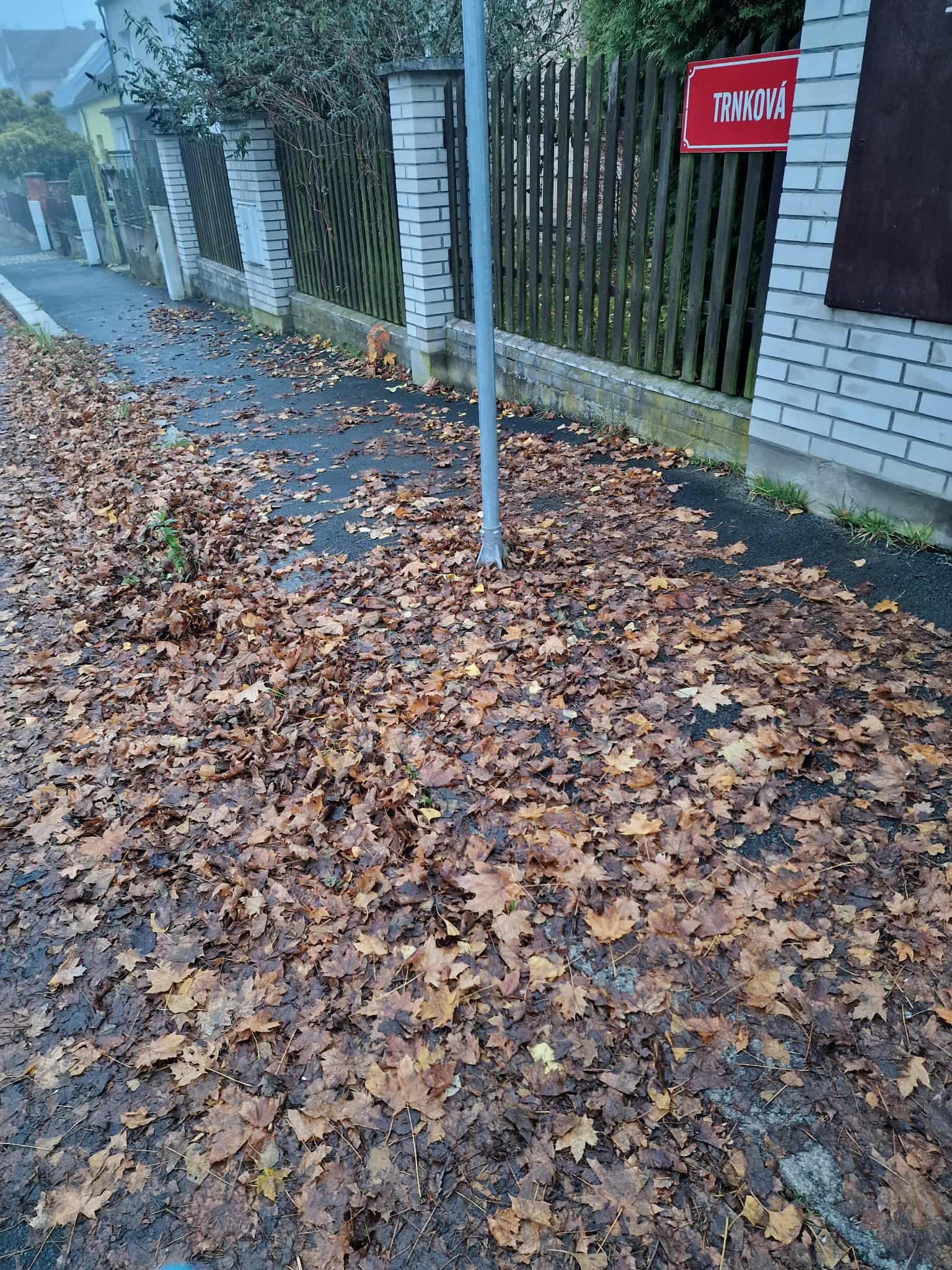 spadané a neshrabané listí