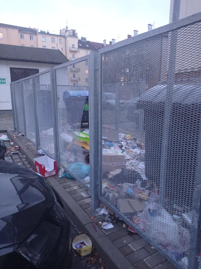 Odpadky v Petrohradě