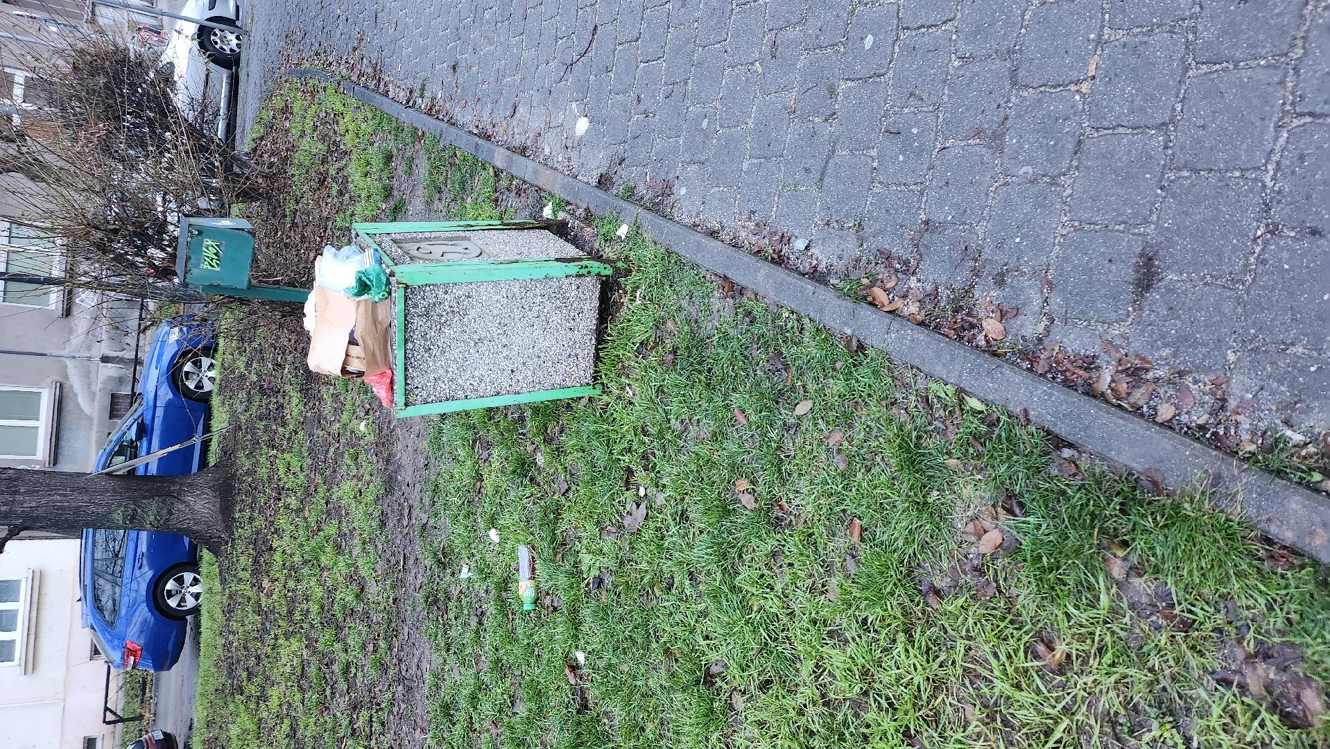 plný koš nám Českých Bratří