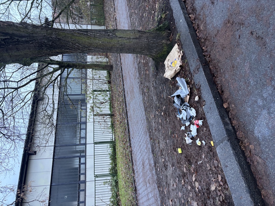 Nepořádek v ul. Táborská