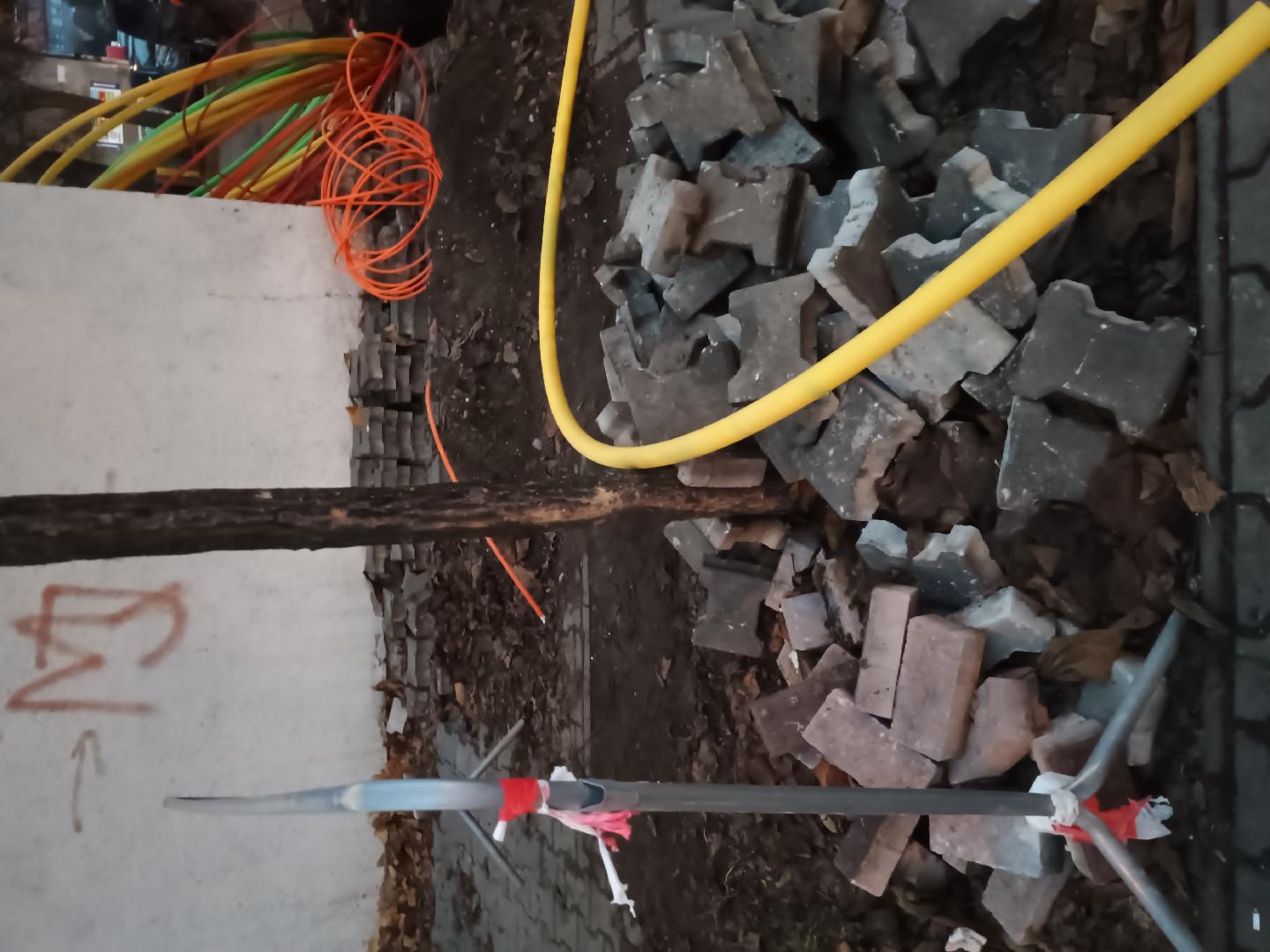 Ochrana kmene v praxi