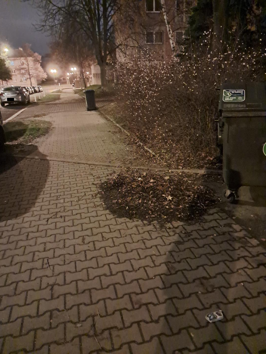 Neodklizené hromady listí