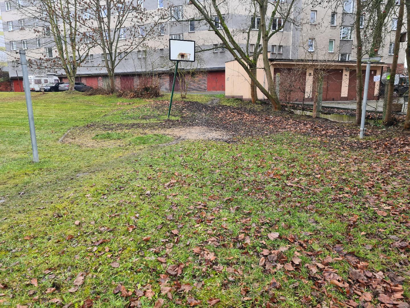 Hrby a neporadek na hristi