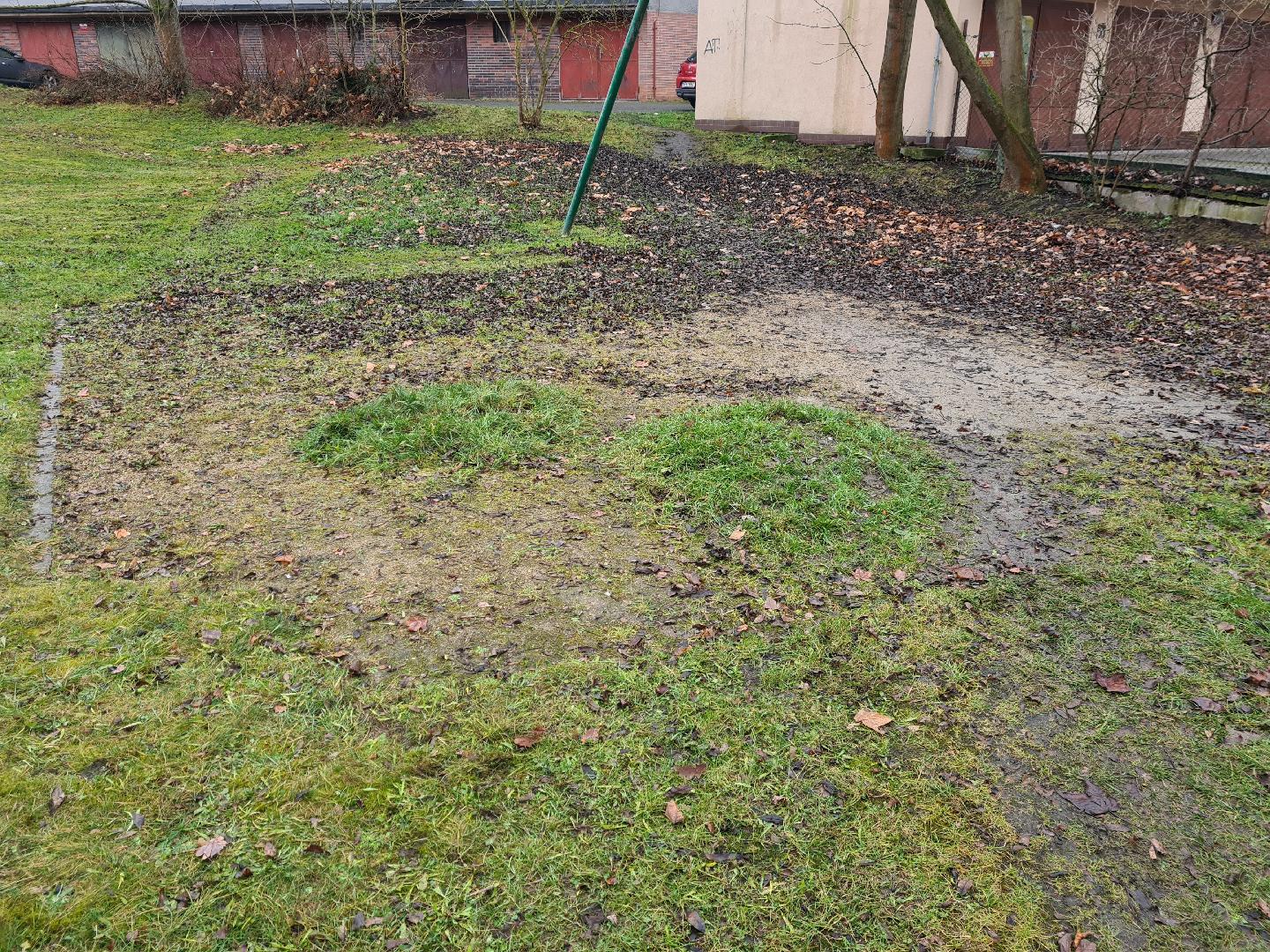 Hrby a neporadek na hristi