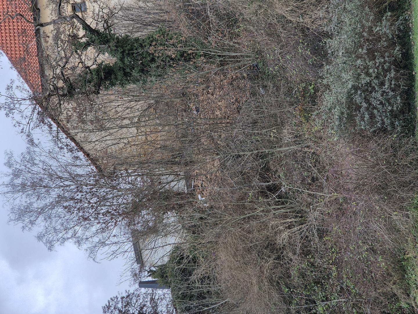 Nepořádek ve svahu