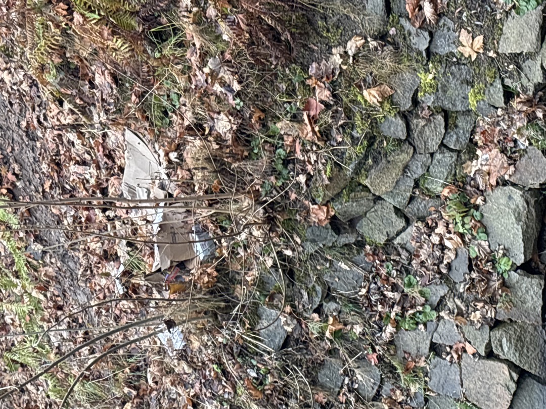 Černá skládka- odpadky