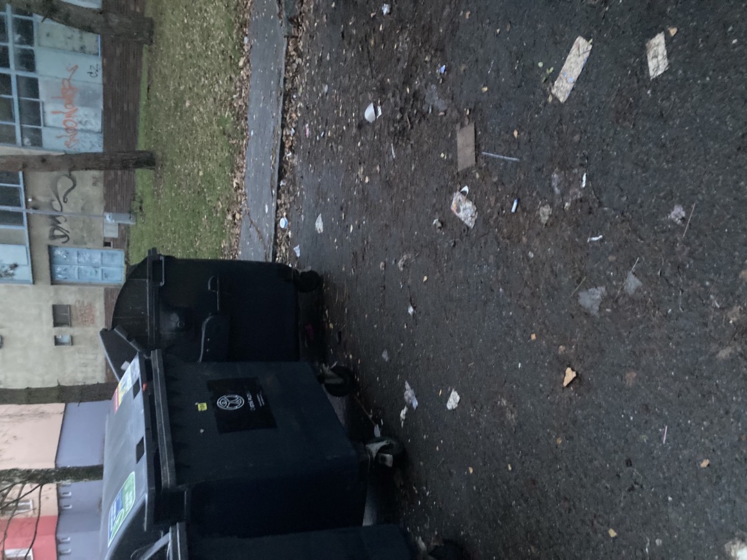 Nepořádek po vývozu