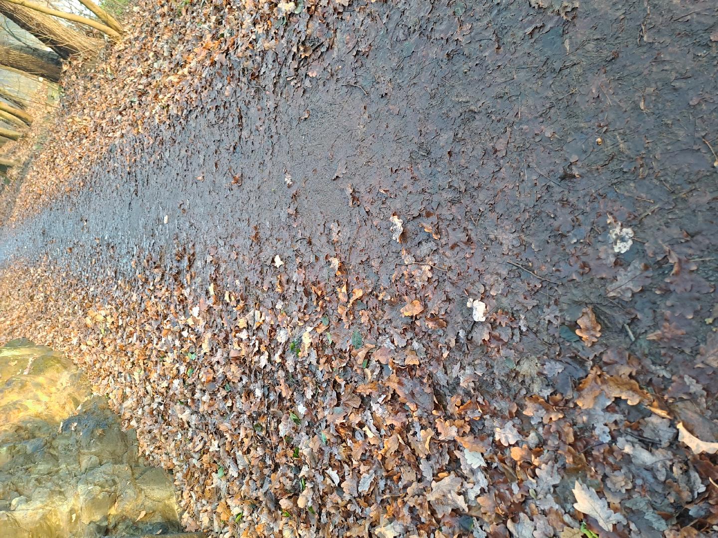 Kluzká cesta podél Radbuzy