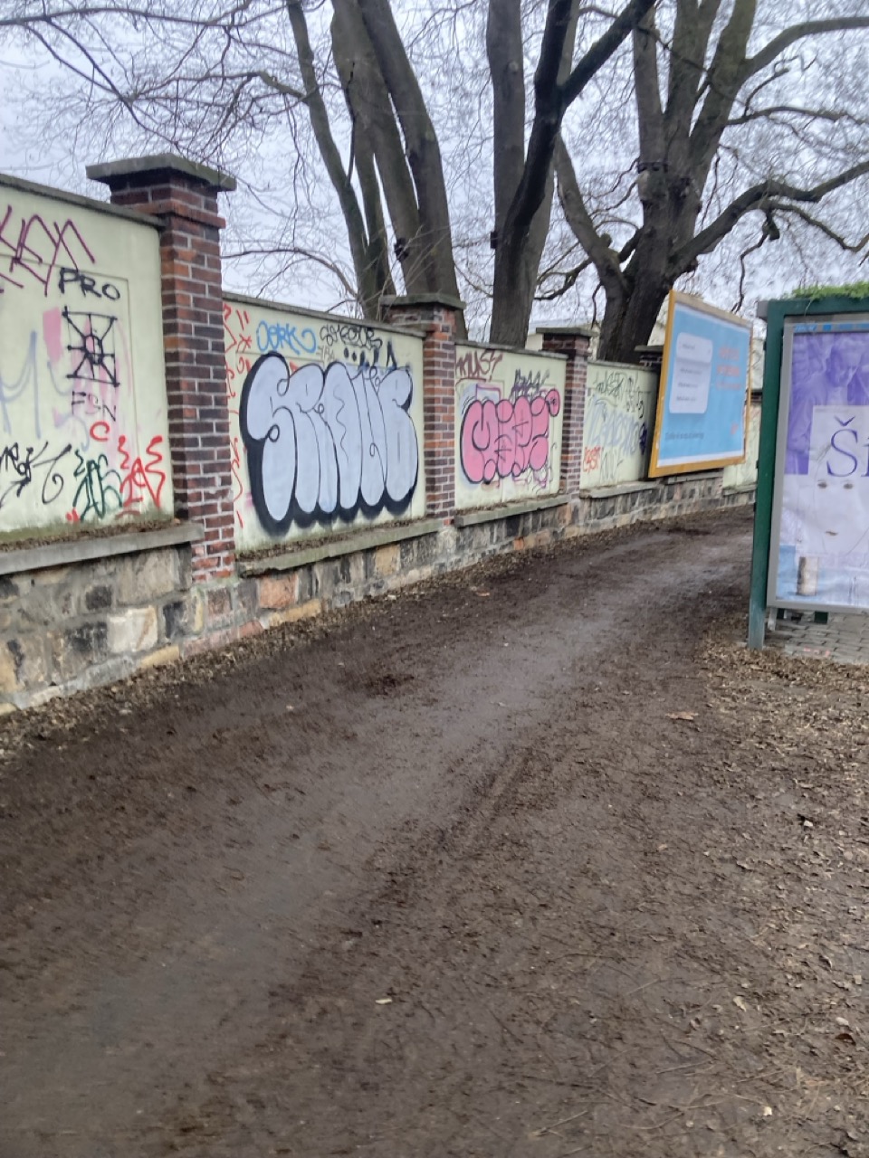 Vyčištění chodníku