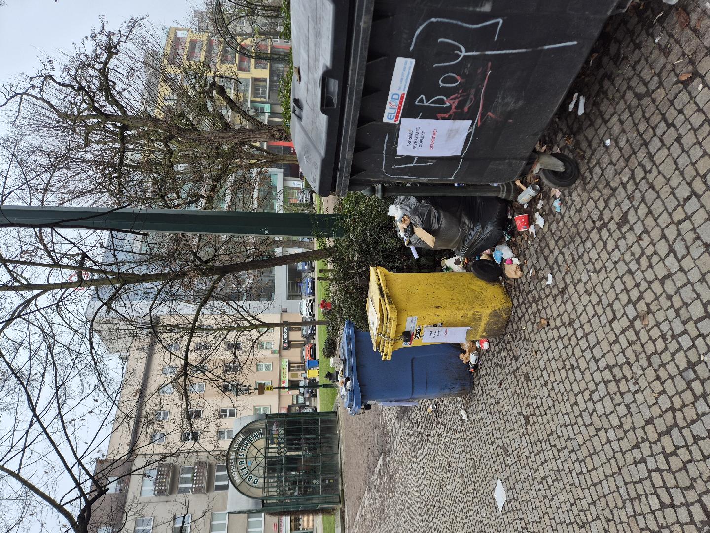 Nepořádek kolem popelnic